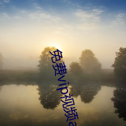 免费vip视频app （画报）