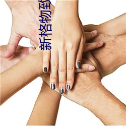 新格物致道(dào)