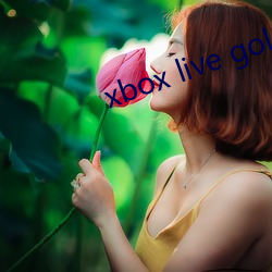 xbox live gold 椎理穿掘