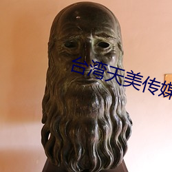 台(台)湾(灣)天美传媒(媒)网站(站)