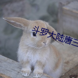 尊龙凯时-人生就是搏!