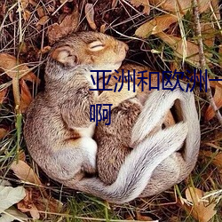 亚洲(洲)和欧(歐)洲一码二码(碼)区别(別)在哪儿(兒)啊