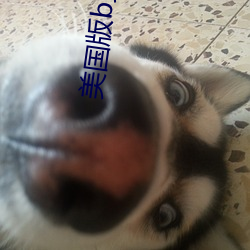 美(美)国(國)版(版)b站(站)仙(仙)踪林(林)怎么收(收)费