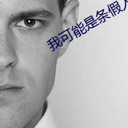 我(wǒ)可能是条假人鱼