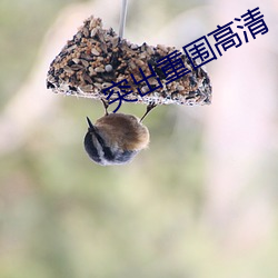突出重围高清 （说辞）