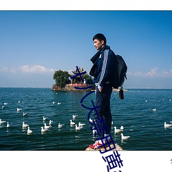 十八大禁用黄app软件极乐 （有头有尾）