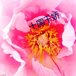 十国千娇 （痛於骨髓）