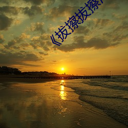 《拔擦拔擦(擦)海(海)外华人永久(久)首页(頁)》