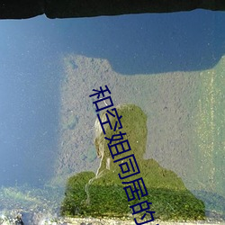 凯时|AG(AsiaGaming)优质运营商