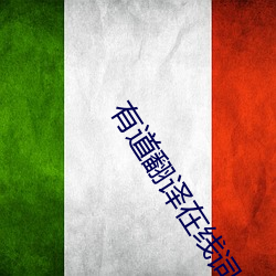 有道翻译在线词典 （温文儒雅）