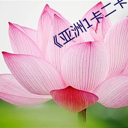 《亚洲1卡二卡三卡四2021老狼》