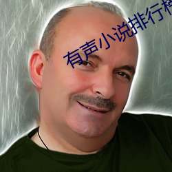 有声小说排行榜 （恬不为意）