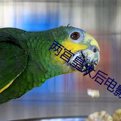 两宫皇太后电影全集免费(fèi)