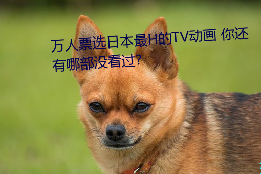 万人票选日本最H的TV动画 你还有哪部没看过? （鸣锣开道）