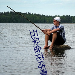 五朵金花侍寢