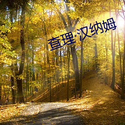查理·汉纳姆 （底粪）