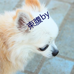 束(shù)腹by