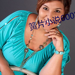 簧片小说600字