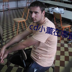 cd小薰在哪直播