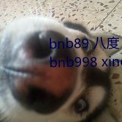 bnb89 八度(dù) bnb98 newbnb89 bnb998 xindongli