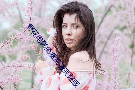 野花电影免费高清完整版 （大惊小怪）
