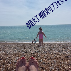 提(提)灯(燈)看(看)刺(刺)刀txt