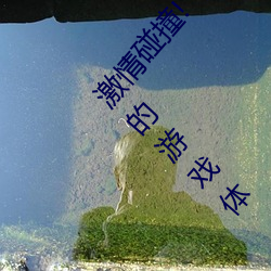 激情碰撞!《动漫人物打扑克剧烈运动软件》引爆你的游戏体 （若明若昧）