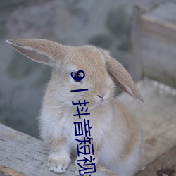 9丨抖音短视频 （弃暗投明）