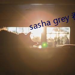 sasha grey 吞精比赛