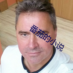 番茄的小说 （杜渐防萌）