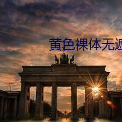 黄色裸体无遮挡软件下载