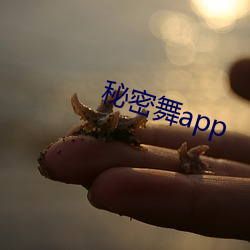 秘密舞app （一面之词）