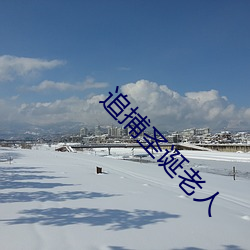 追(追)捕圣(聖)诞老(老)人