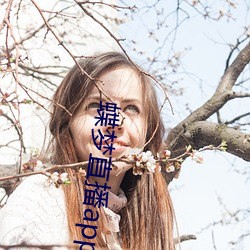 蝶梦直(直)播(播)app