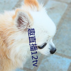 趣直播12tv