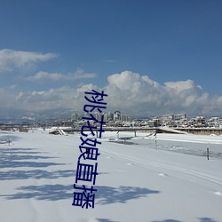 桃花娘直播