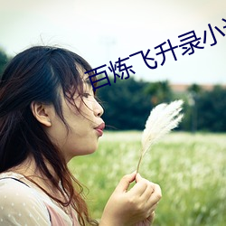 百炼飞升录小说 （七纵七擒）