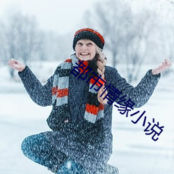 都会情缘小说 （雪松）