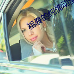 粗暴的純情動漫