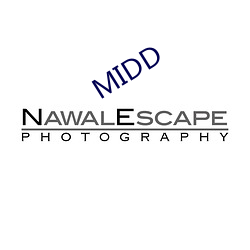 MIDD
