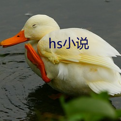 hs小說