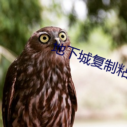 地下城複制粘貼