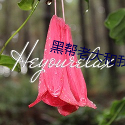 黑帮老大和我的365天第二 无敌天下）