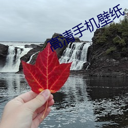 高清手(shǒu)机壁纸