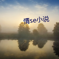 情se小说