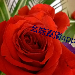 幺妹直播app下载