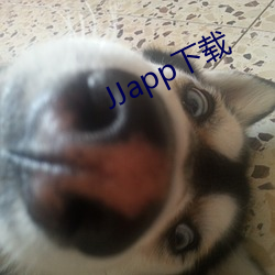 JJapp下载