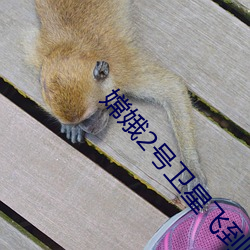 嫦娥2号卫星飞到(dào)哪里了