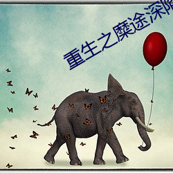 重生(shēng)之(zhī)糜途深(shēn)陷