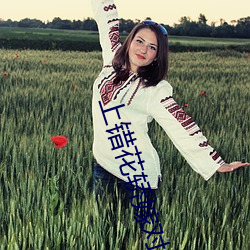 上錯花轎嫁對郎全集高清免